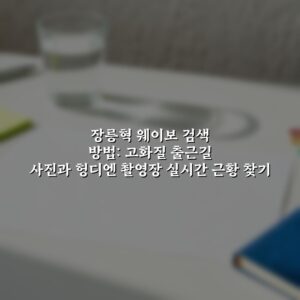 장릉혁 웨이보 검색 방법: 고화질 출근길 사진과 헝디엔 촬영장 실시간 근황 찾기