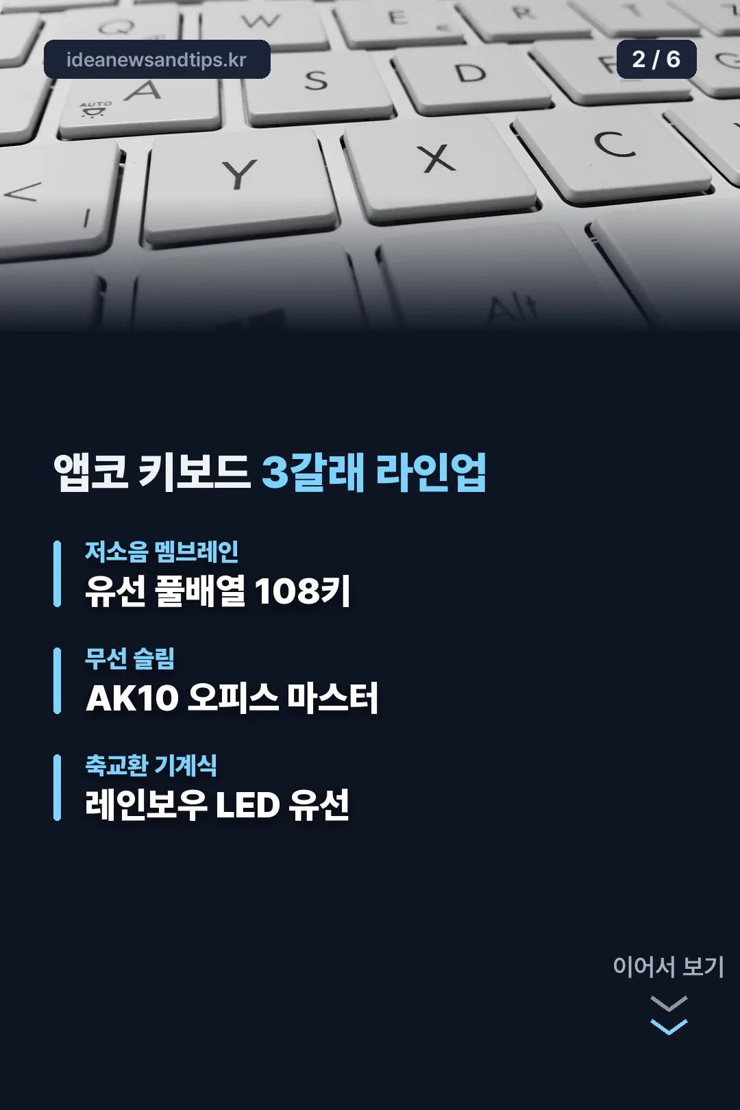 3갈래 라인업