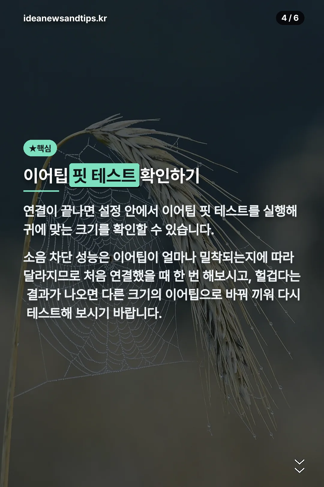 이어팁 핏 테스트