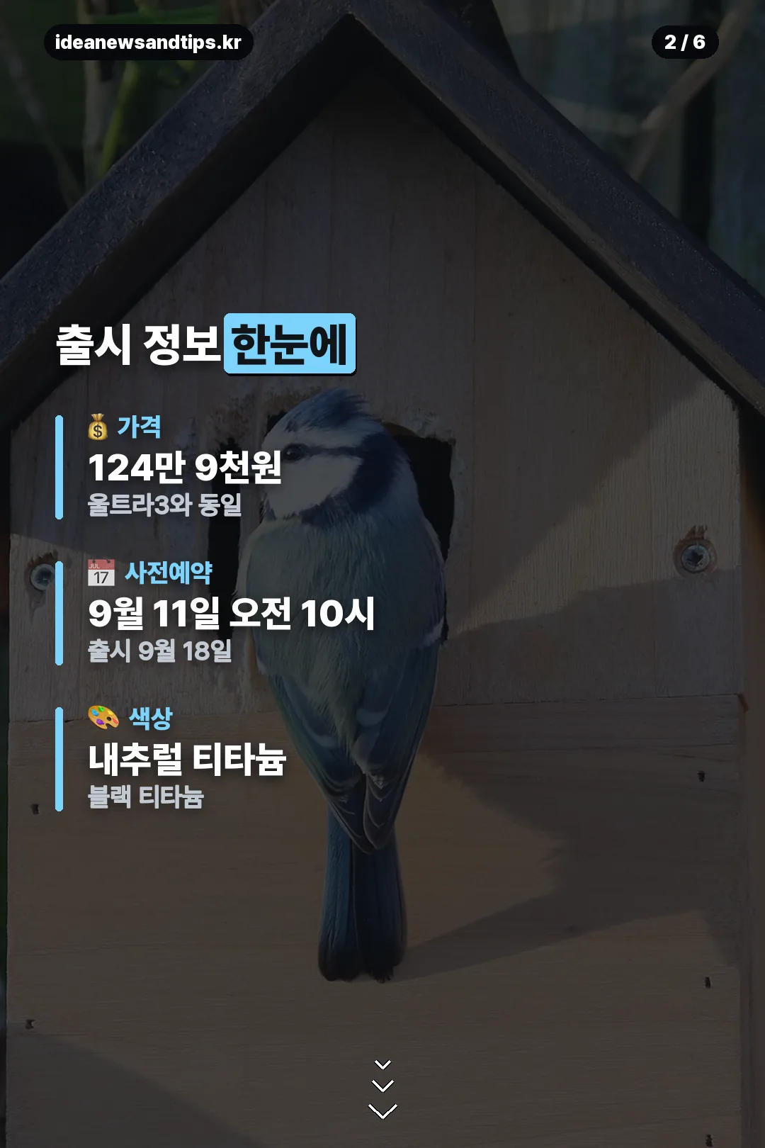 출시 정보 한눈에 보기