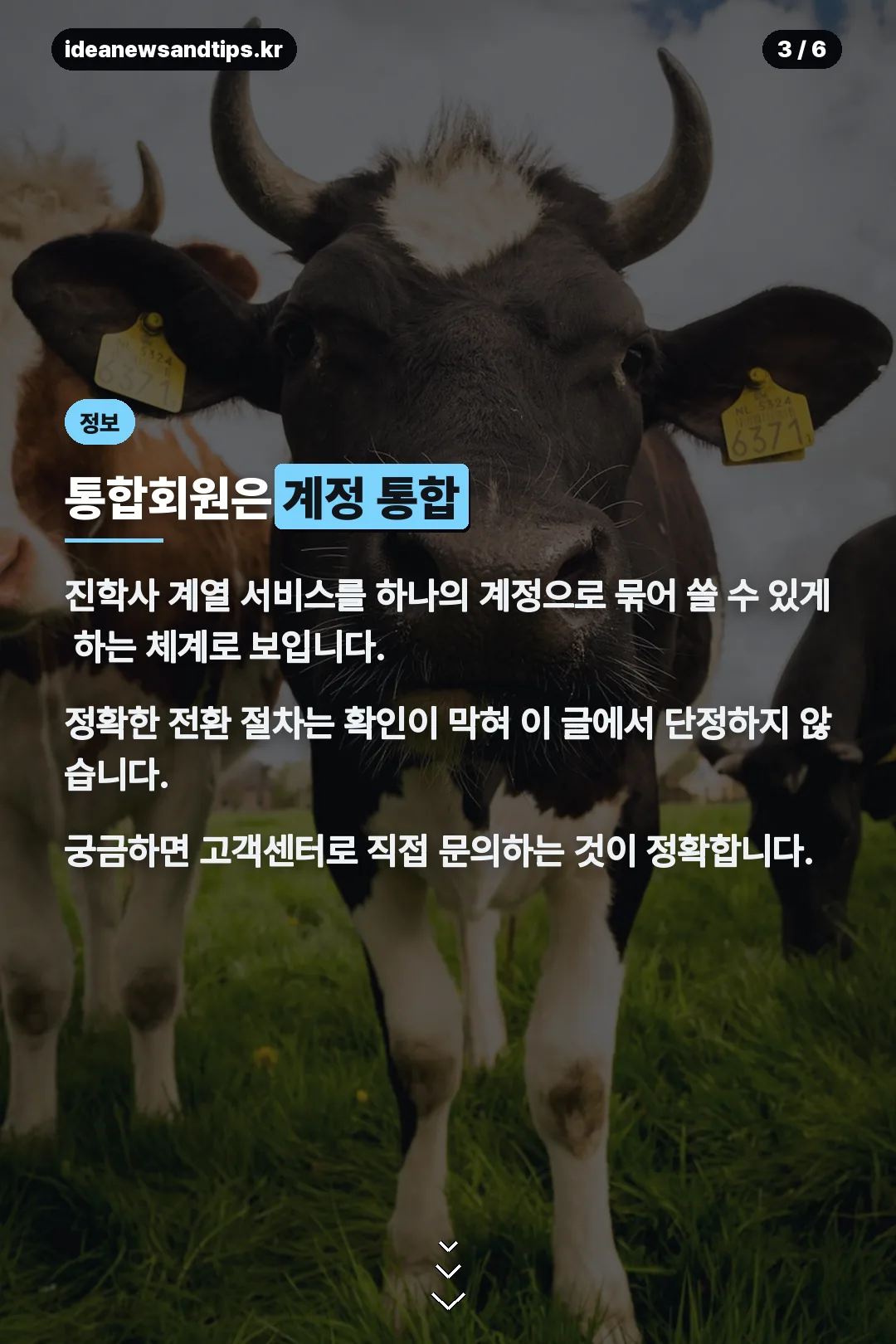 통합회원 개념 설명