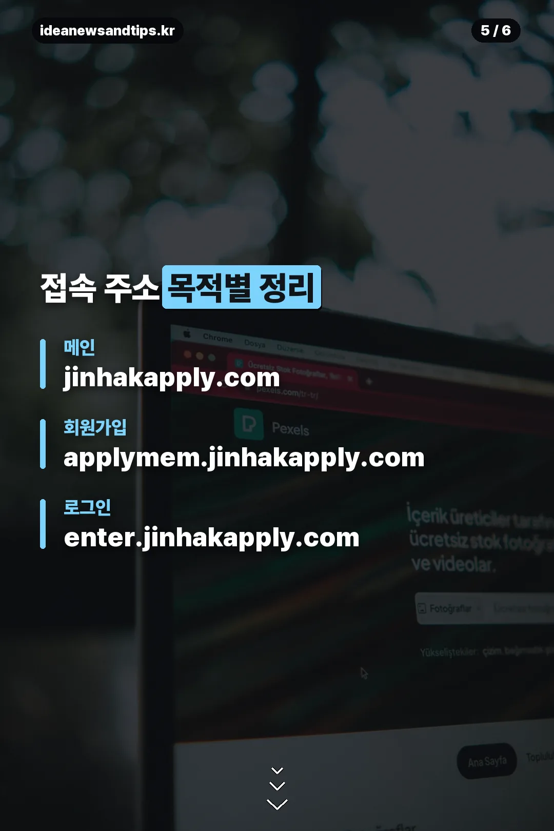 목적별 접속 주소