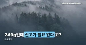 DJI 플립 가격 — 53만 원대부터, 249g이라 신고도 필요 없습니다
